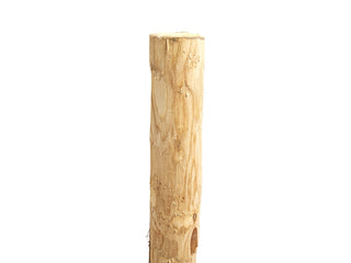 Kastanje Paal | ø 14 - 16 cm