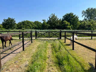 Lord Dura2 Screw-On Fence - 2 Beams - Lands End B.V.