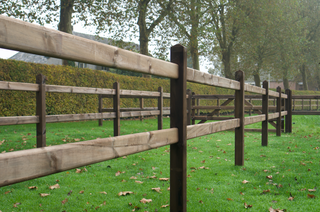 Queen Dark-Brown - 2 liggers 2