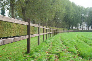 Rijbak Pakket Queen Dark-Brown - Met 2 liggers 2