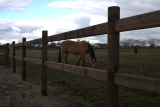 Economy Dark-Brown - 2 liggers 3