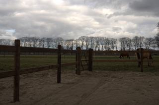 Economy Dark-Brown - 2 liggers 2