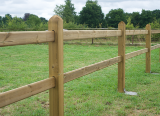 Presidential - 2 liggers 2