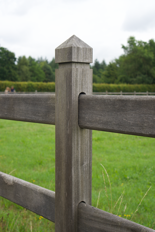 Royal Tropic - 2 liggers 2