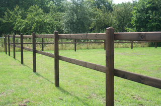 Rijbak Lord Dark-Brown - Met 2 liggers