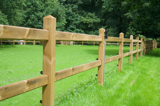 Rijbak Pakket Queen - Met 2 liggers