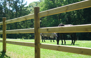 Rijbak Pakket Massief - Met 3 liggers