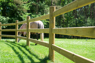 Massief - 3 liggers 3