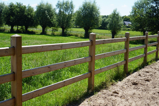Rijbak Pakket Queen - Met 3 liggers