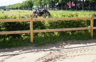 Economy - 2 liggers 3