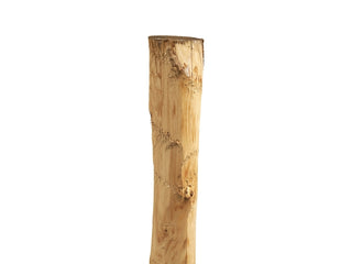 Chestnut pole - peeled and pointed - ø 8 - 10 CM - Lands End B.V.
