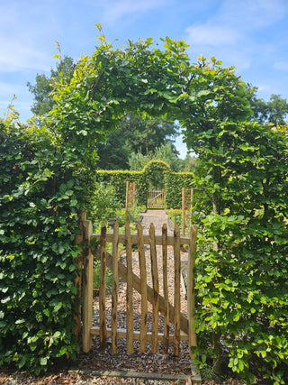 Chestnut gate - 115cm high 7