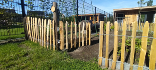Chestnut gate - 55cm high