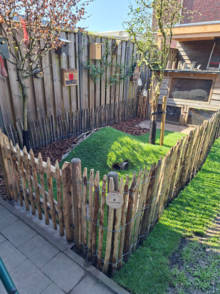 Chestnut gate 75cm high
