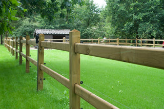 Riding arena package Queen - With 2 rails